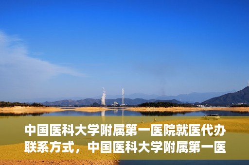 中国医科大学附属第一医院就医代办联系方式，中国医科大学附属第一医院就医代办服务联系方式及流程解析