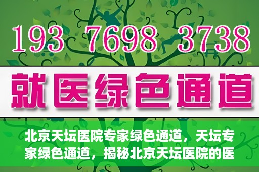 北京天坛医院专家绿色通道，天坛专家绿色通道，揭秘北京天坛医院的医疗专家服务通道