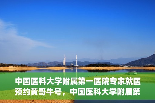 中国医科大学附属第一医院专家就医预约黄哥牛号，中国医科大学附属第一医院专家黄哥牛号预约就医攻略