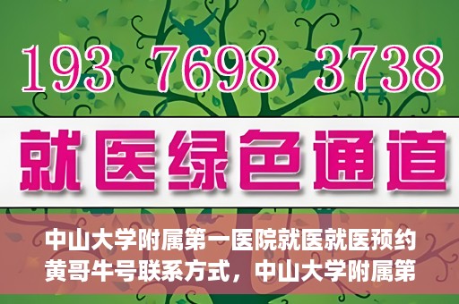 中山大学附属第一医院就医就医预约黄哥牛号联系方式，中山大学附属第一医院就医预约指南，黄哥牛号联系方式揭秘