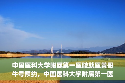 中国医科大学附属第一医院就医黄哥牛号预约，中国医科大学附属第一医院就医黄哥牛号预约攻略详解