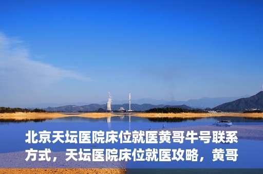 北京天坛医院床位就医黄哥牛号联系方式，天坛医院床位就医攻略，黄哥牛号联系方式揭秘