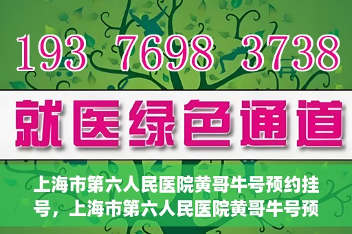 上海市第六人民医院黄哥牛号预约挂号，上海市第六人民医院黄哥牛号预约挂号攻略，轻松挂号，便捷就医体验