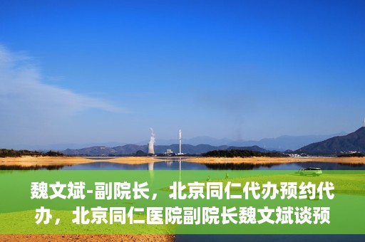 魏文斌-副院长，北京同仁代办预约代办，北京同仁医院副院长魏文斌谈预约代办服务