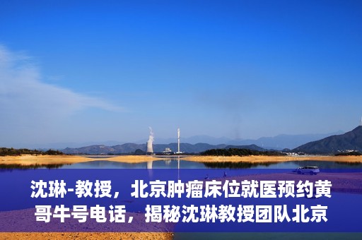 沈琳-教授，北京肿瘤床位就医预约黄哥牛号电话，揭秘沈琳教授团队北京肿瘤床位预约背后的故事，黄哥牛号电话就医攻略