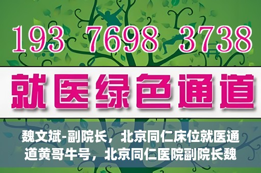 魏文斌-副院长，北京同仁床位就医通道黄哥牛号，北京同仁医院副院长魏文斌揭秘，床位就医通道背后的黄哥牛号故事