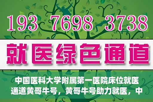 中国医科大学附属第一医院床位就医通道黄哥牛号，黄哥牛号助力就医，中国医科大学附属第一医院床位就医通道解析