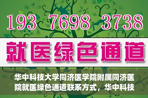 华中科技大学同济医学院附属同济医院就医绿色通道联系方式，华中科技大学同济医院就医绿色通道联系方式及流程简介