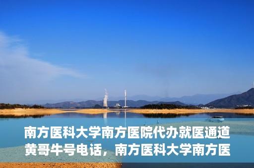 南方医科大学南方医院代办就医通道黄哥牛号电话，南方医科大学南方医院就医通道代办服务揭秘，黄哥牛号电话背后的故事