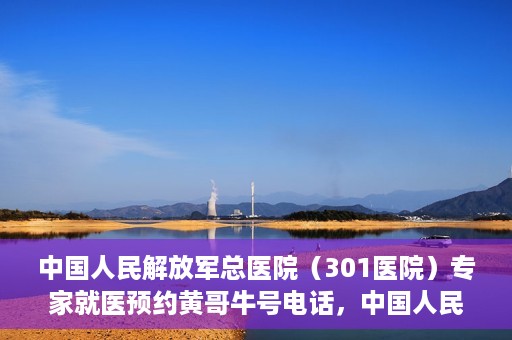 中国人民解放军总医院（301医院）专家就医预约黄哥牛号电话，中国人民解放军总医院（301医院）黄哥牛号预约电话及专家就医指南