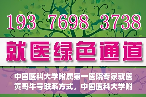 中国医科大学附属第一医院专家就医黄哥牛号联系方式，中国医科大学附属第一医院专家黄哥牛号联系方式及就医指南