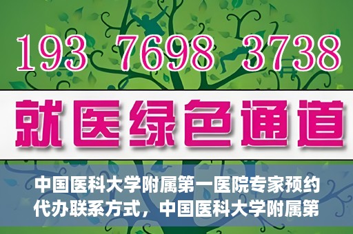 中国医科大学附属第一医院专家预约代办联系方式，中国医科大学附属第一医院专家预约挂号代办服务联系方式解析