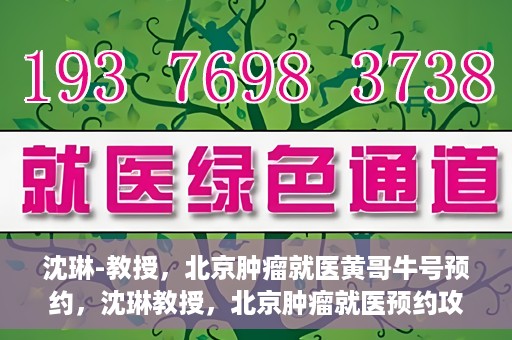 沈琳-教授，北京肿瘤就医黄哥牛号预约，沈琳教授，北京肿瘤就医预约攻略——黄哥牛号解读