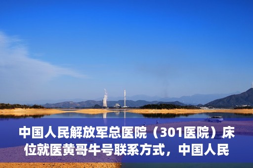 中国人民解放军总医院（301医院）床位就医黄哥牛号联系方式，中国人民解放军总医院（301医院）床位就医信息及联系方式解析，黄哥牛号就医指南