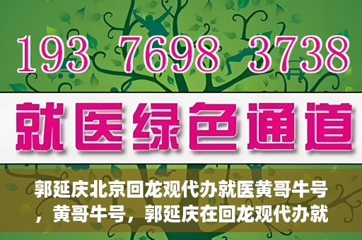 郭延庆北京回龙观代办就医黄哥牛号，黄哥牛号，郭延庆在回龙观代办就医的便捷之路