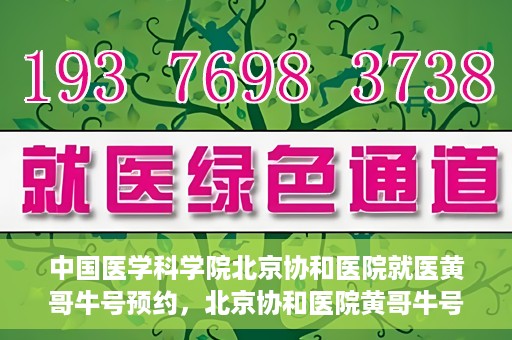 中国医学科学院北京协和医院就医黄哥牛号预约，北京协和医院黄哥牛号预约攻略，就医指南与医学权威体验