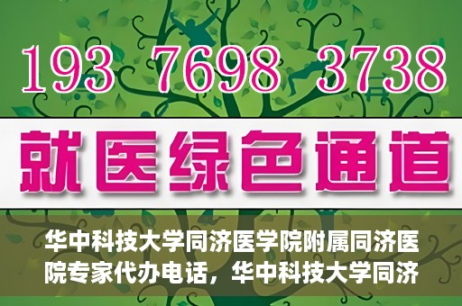 华中科技大学同济医学院附属同济医院专家代办电话，华中科技大学同济医学院附属同济医院专家预约电话服务解析