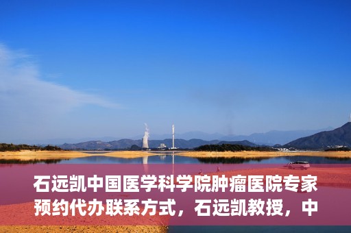 石远凯中国医学科学院肿瘤医院专家预约代办联系方式，石远凯教授，中国医学科学院肿瘤医院预约挂号代办联系方式揭秘