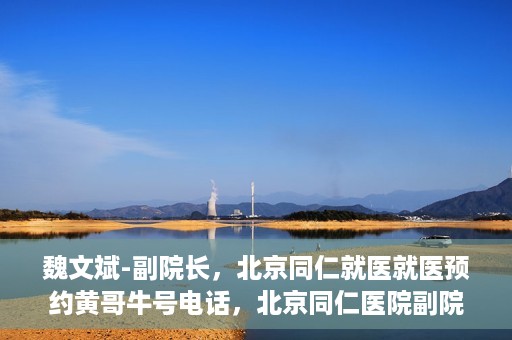 魏文斌-副院长，北京同仁就医就医预约黄哥牛号电话，北京同仁医院副院长魏文斌，就医预约背后的故事与黄哥牛号电话揭秘