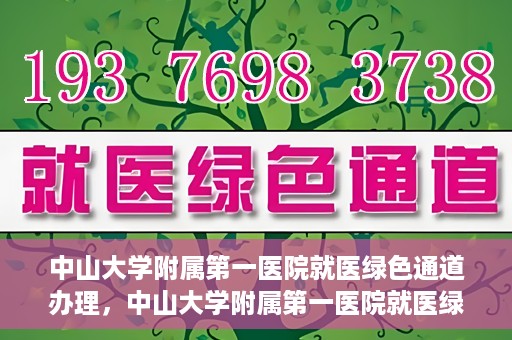 中山大学附属第一医院就医绿色通道办理，中山大学附属第一医院就医绿色通道办理详解，一站式解决您的就医难题