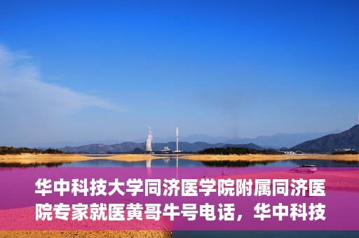 华中科技大学同济医学院附属同济医院专家就医黄哥牛号电话，华中科技大学同济医院专家黄哥牛号电话就医指南