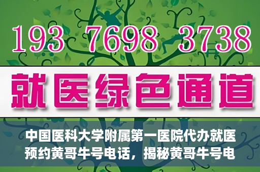 中国医科大学附属第一医院代办就医预约黄哥牛号电话，揭秘黄哥牛号电话，中国医科大学附属第一医院预约就医代办服务详解
