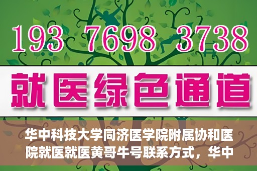 华中科技大学同济医学院附属协和医院就医就医黄哥牛号联系方式，华中科技大学同济医学院附属协和医院就医指南，黄哥牛号联系方式揭秘