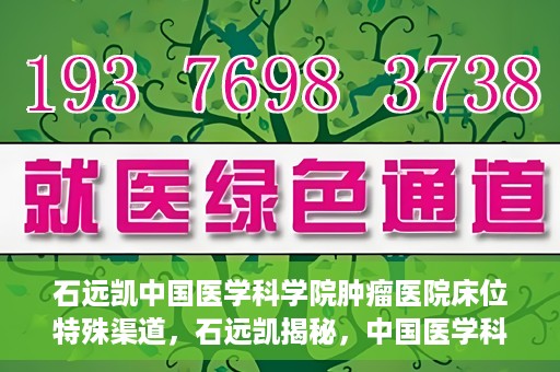 石远凯中国医学科学院肿瘤医院床位特殊渠道，石远凯揭秘，中国医学科学院肿瘤医院床位特殊渠道揭秘