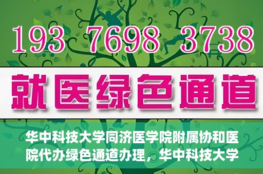 华中科技大学同济医学院附属协和医院代办绿色通道办理，华中科技大学同济医学院附属协和医院绿色通道代办服务详解