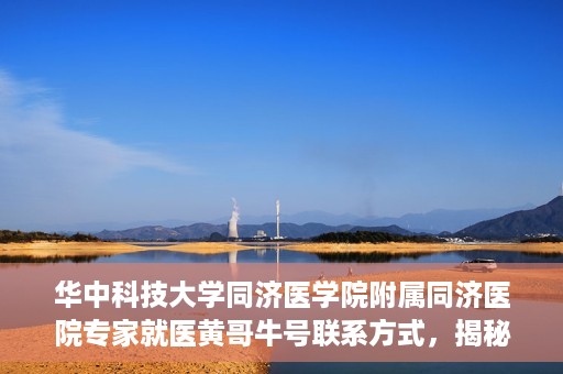 华中科技大学同济医学院附属同济医院专家就医黄哥牛号联系方式，揭秘黄哥牛号背后的专家，华中科技大学同济医院同济医院专家就医攻略与联系方式揭秘