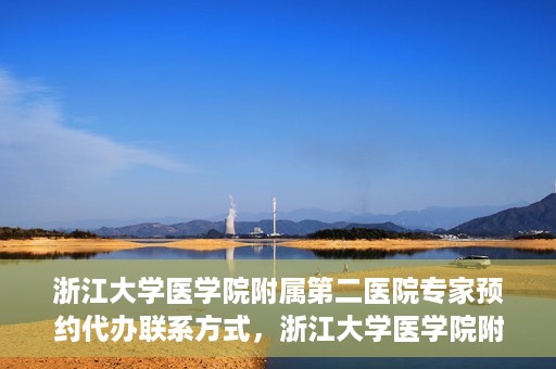 浙江大学医学院附属第二医院专家预约代办联系方式，浙江大学医学院附属第二医院专家预约咨询及代办服务联系方式揭秘
