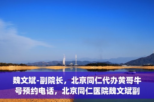 魏文斌-副院长，北京同仁代办黄哥牛号预约电话，北京同仁医院魏文斌副院长，黄哥牛号预约电话解读与代办服务解析