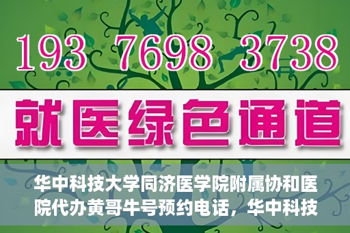 华中科技大学同济医学院附属协和医院代办黄哥牛号预约电话，华中科技大学同济医学院附属协和医院代办预约电话，黄哥牛号预约专线揭秘