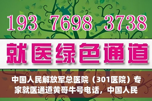 中国人民解放军总医院（301医院）专家就医通道黄哥牛号电话，中国人民解放军总医院（301医院）专家就医通道热线电话揭秘，黄哥牛号助您快速预约专家号