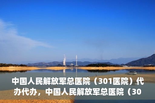 中国人民解放军总医院（301医院）代办代办，中国人民解放军总医院（301医院）代办业务详解，专业代办，高效便捷服务