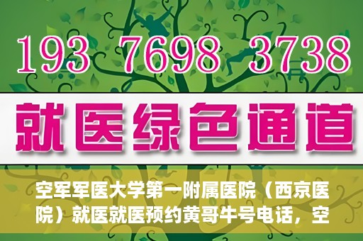 空军军医大学第一附属医院（西京医院）就医就医预约黄哥牛号电话，空军军医大学第一附属医院（西京医院）就医预约指南及黄哥牛号电话咨询热线