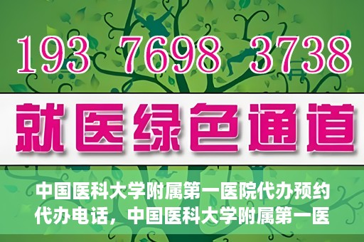 中国医科大学附属第一医院代办预约代办电话，中国医科大学附属第一医院预约代办服务热线详解