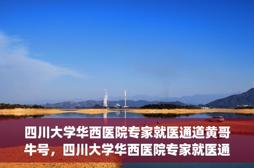 四川大学华西医院专家就医通道黄哥牛号，四川大学华西医院专家就医通道，黄哥牛号引领就医新风尚