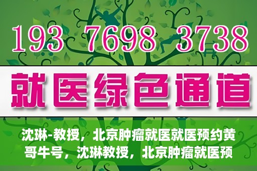 沈琳-教授，北京肿瘤就医就医预约黄哥牛号，沈琳教授，北京肿瘤就医预约秘籍与黄哥牛号解读