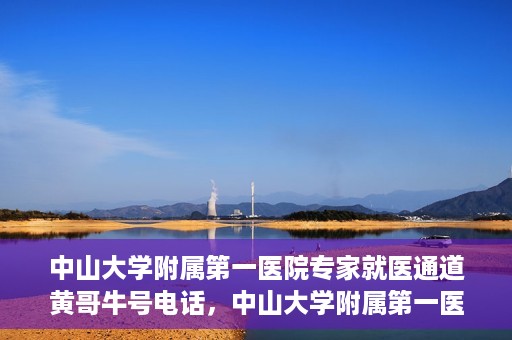 中山大学附属第一医院专家就医通道黄哥牛号电话，中山大学附属第一医院专家就医通道热线，黄哥牛号电话解读与预约攻略
