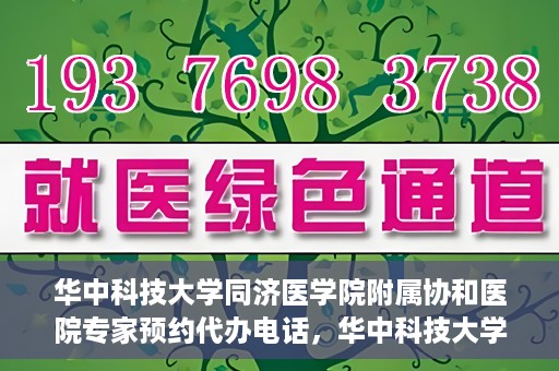 华中科技大学同济医学院附属协和医院专家预约代办电话，华中科技大学同济医学院附属协和医院专家预约代办热线服务解析