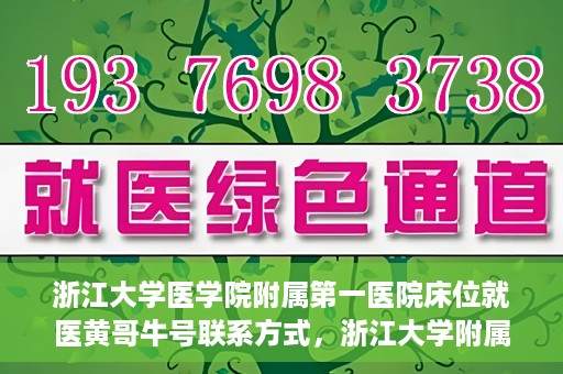 浙江大学医学院附属第一医院床位就医黄哥牛号联系方式，浙江大学附属第一医院床位就医指南，黄哥牛号联系方式揭秘