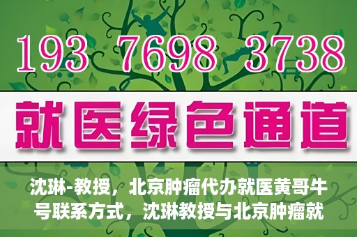 沈琳-教授，北京肿瘤代办就医黄哥牛号联系方式，沈琳教授与北京肿瘤就医黄哥牛号，联系方式揭秘