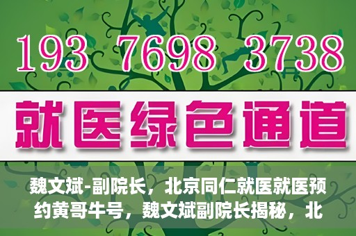 魏文斌-副院长，北京同仁就医就医预约黄哥牛号，魏文斌副院长揭秘，北京同仁医院就医预约的黄哥牛号攻略