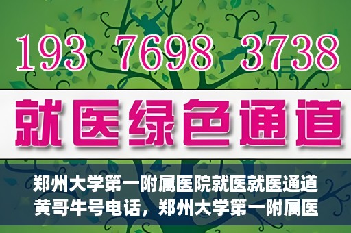 郑州大学第一附属医院就医就医通道黄哥牛号电话，郑州大学第一附属医院就医通道解析，黄哥牛号电话全解析