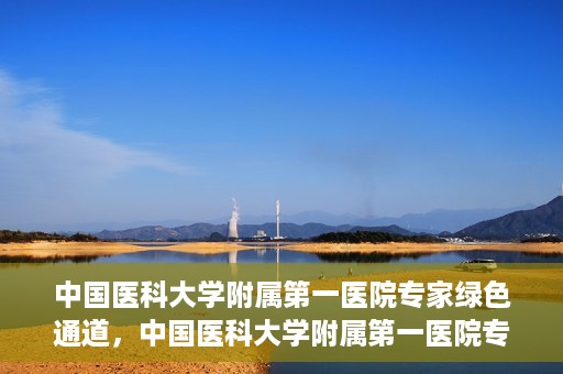 中国医科大学附属第一医院专家绿色通道，中国医科大学附属第一医院专家绿色通道，高效就医体验，专业医疗守护