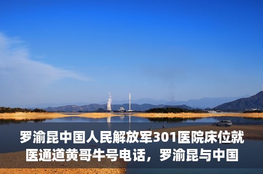 罗渝昆中国人民解放军301医院床位就医通道黄哥牛号电话，罗渝昆与中国人民解放军301医院，床位就医通道揭秘及黄哥牛号联系电话