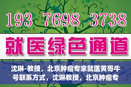 沈琳-教授，北京肿瘤专家就医黄哥牛号联系方式，沈琳教授，北京肿瘤专家就医联系方式及黄哥牛号揭秘