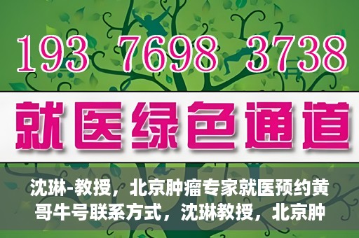 沈琳-教授，北京肿瘤专家就医预约黄哥牛号联系方式，沈琳教授，北京肿瘤专家预约攻略及黄哥牛号联系方式揭秘