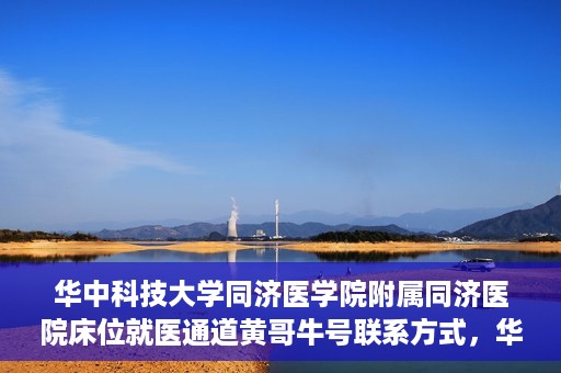 华中科技大学同济医学院附属同济医院床位就医通道黄哥牛号联系方式，华中科技大学同济医院床位就医通道，黄哥牛号联系方式揭秘
